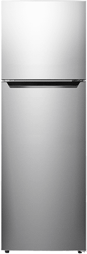 Réfrigérateur double porte FTN251F20D