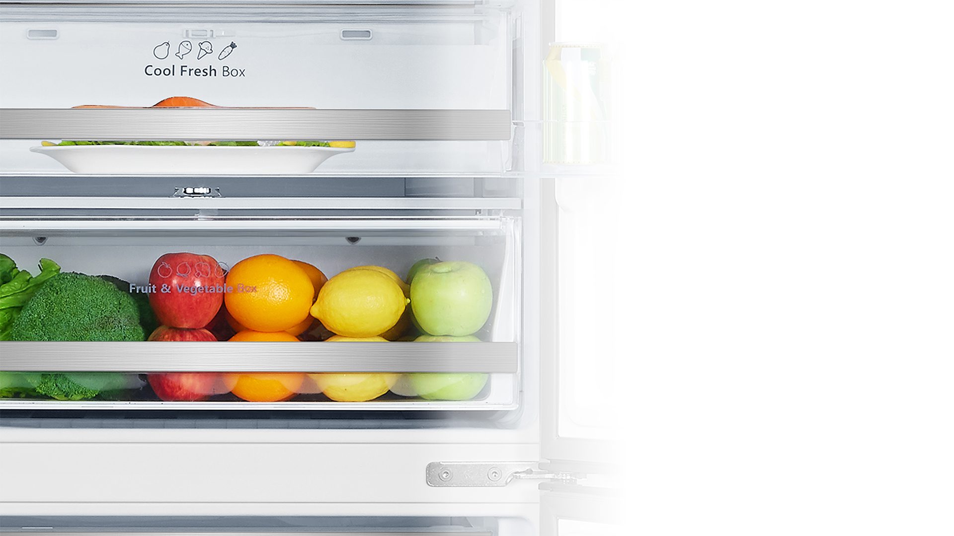 [FROID]—2020—Moisture-Fresh-Crisper